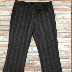 Gray and Purple The Limited Pants